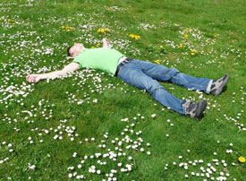 young man asleep in field of daisies