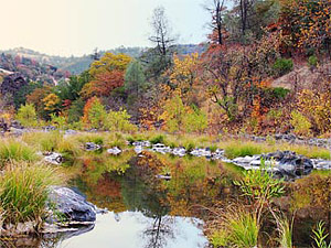 view of the river at Swallowtail Ranch