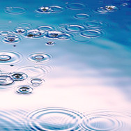 ripples on water surface made by rain drops