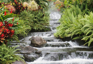 waterfall in Costa Rica